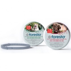 Foresto große 70 cm (Hund)