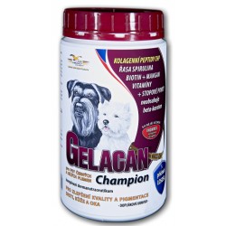 Gelacan Champion Schwarzweiss-Hunde 500g