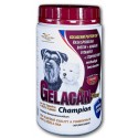 Gelacan Champion Schwarzweiss-Hunde 500g