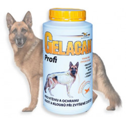 Gelacan Plus Profi 500 g
