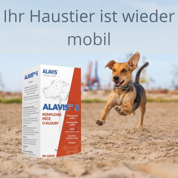 Alavis