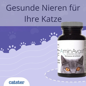 Amin Avast