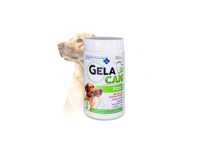gc fast 500g web
